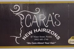 CarasNewHairizons-scaled